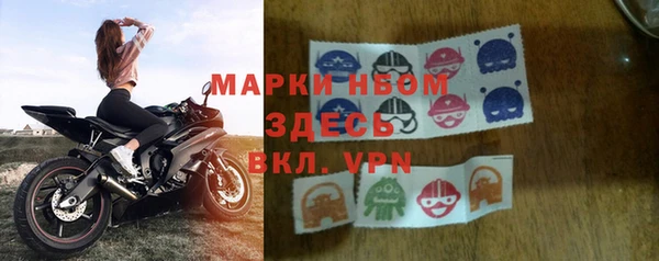 стаф Арсеньев