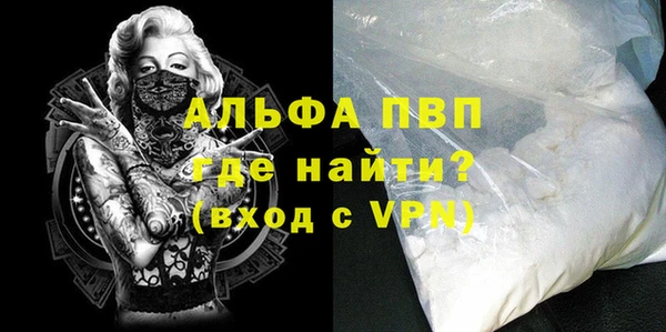 стаф Арсеньев