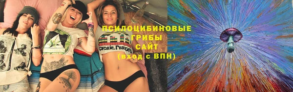 стаф Арсеньев