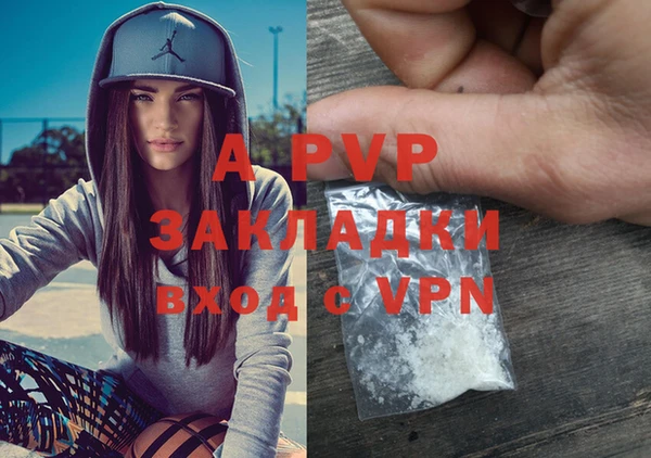 стаф Арсеньев